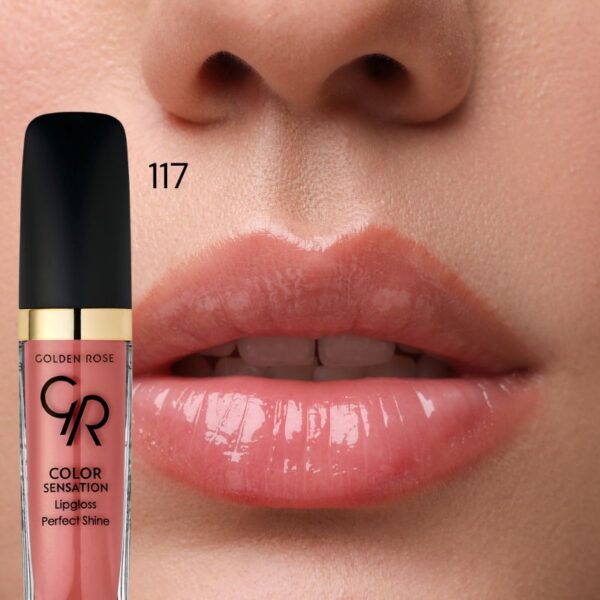 Color Sensation Lipgloss Golden Rose 6